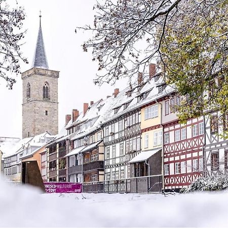 -Apartment Am Luisenpark-Perfekte Lage Im Gruenen Fuer Ihren Aufenthalt Erfurt Eksteriør billede