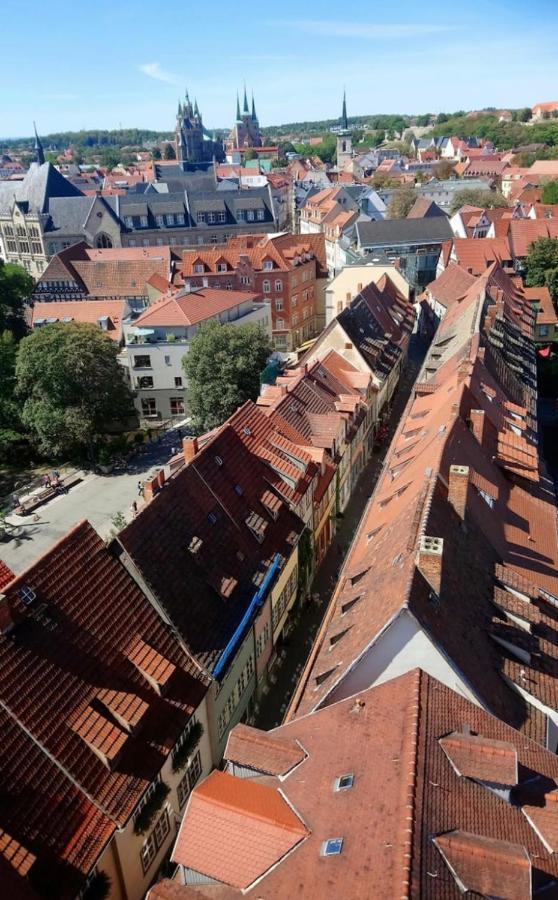-Apartment Am Luisenpark-Perfekte Lage Im Gruenen Fuer Ihren Aufenthalt Erfurt Eksteriør billede